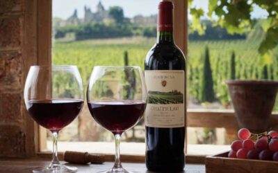 S&rsquo;initier aux vins de château en primeurs les clés pour comprendre et apprécier